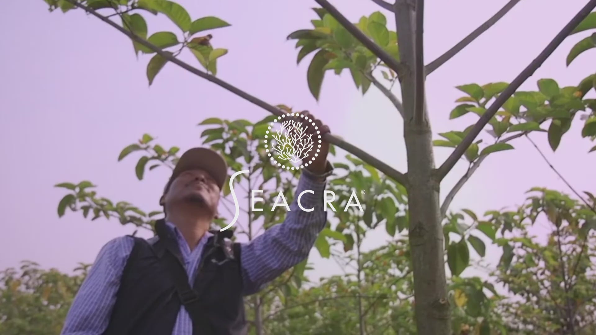 Įkelti vaizdo įrašą: „Eden Project“ ir Seacra odos priežiūros misija